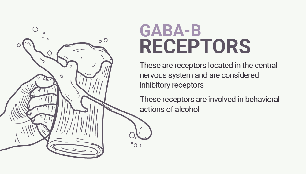 Baclofen and Gaba-B Receptors