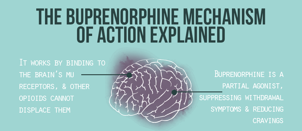 The Buprenorphine Mechanism of Action Explained