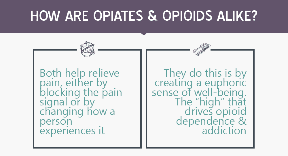 How Are Opiates and Opioids Alike?