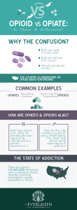 Opioid vs Opiate Is There a Difference