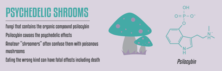 Psychedelic Shrooms