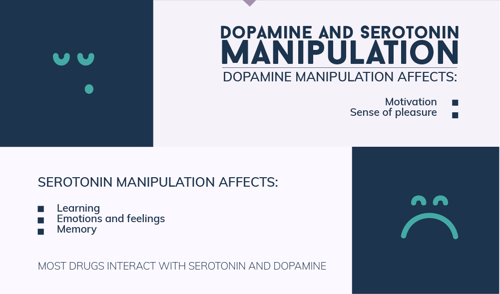 How are Dopamine and Serotonin Levels Affected