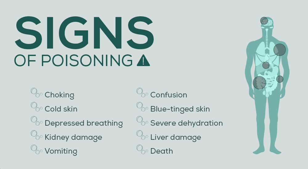 Symptoms of Ethanol Poisoning