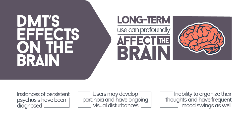 DMT Effects on the Brain