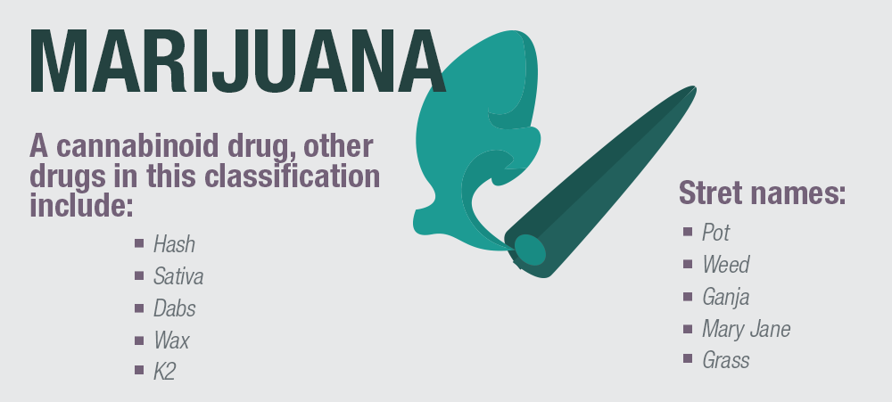 What is Marijuana? 