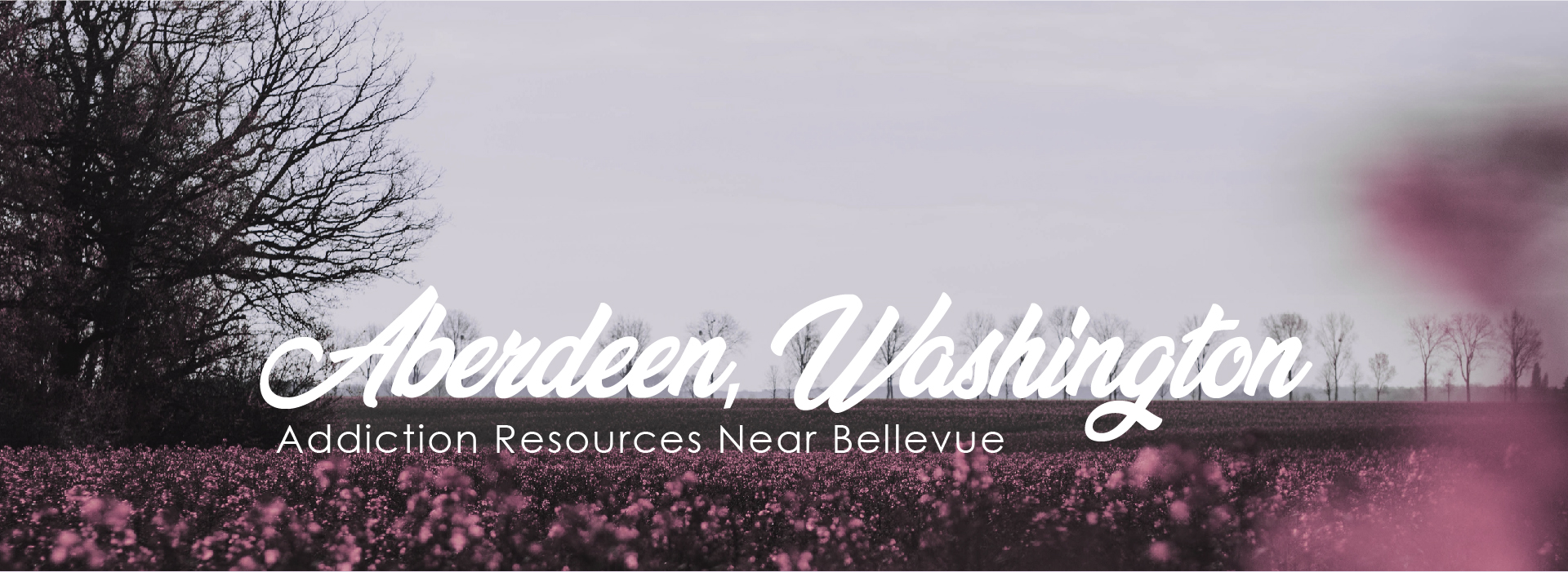 Aberdeen, Washington Addiction Resources