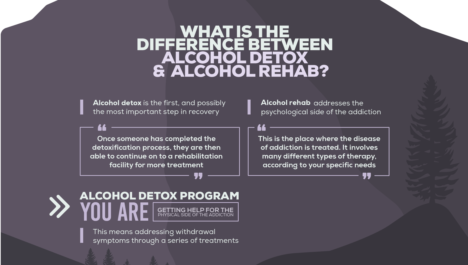 Alcohol Detox And Alcohol Rehab