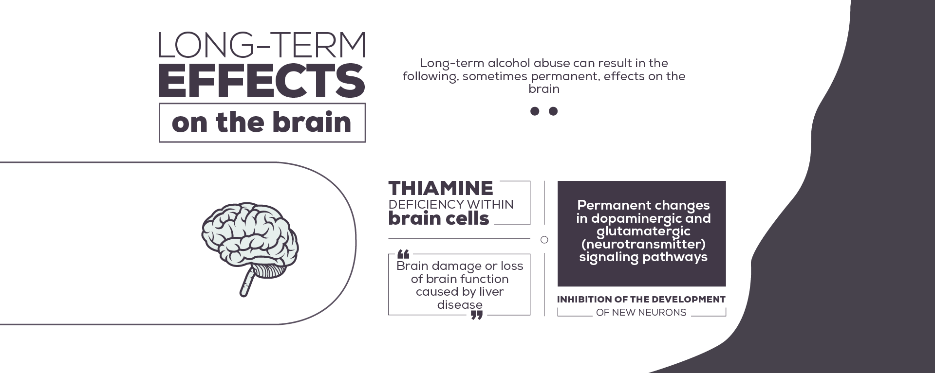 Alcohol Long Term Effects In The Brain