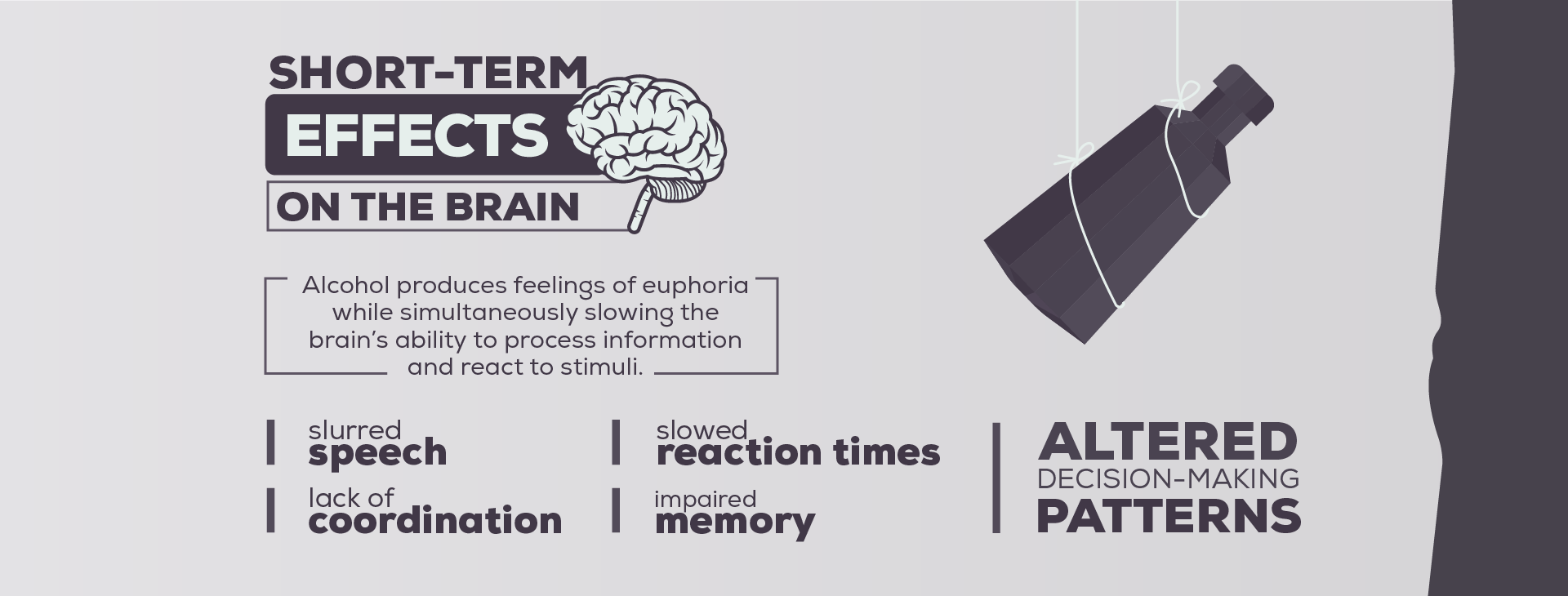 Alcohol Short Term Effects In The Brain