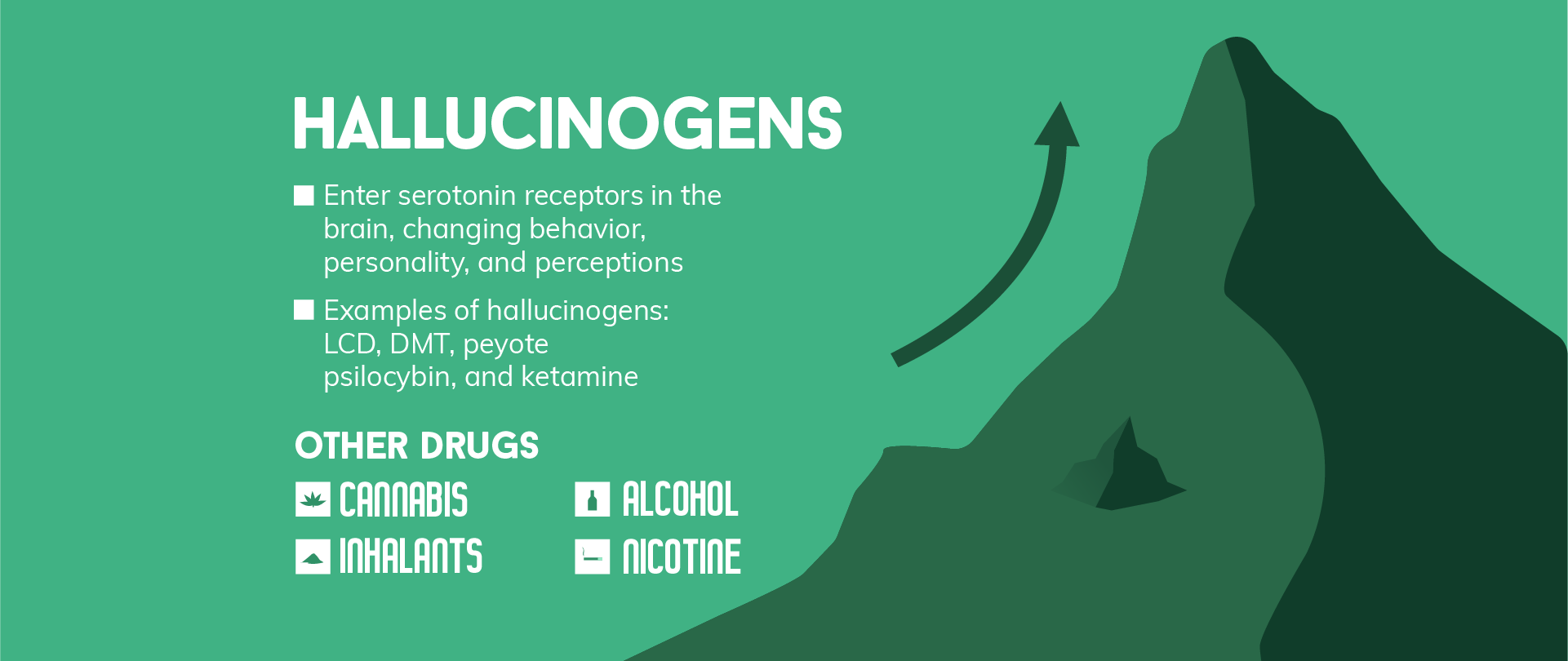 Hallucinogen Addiction