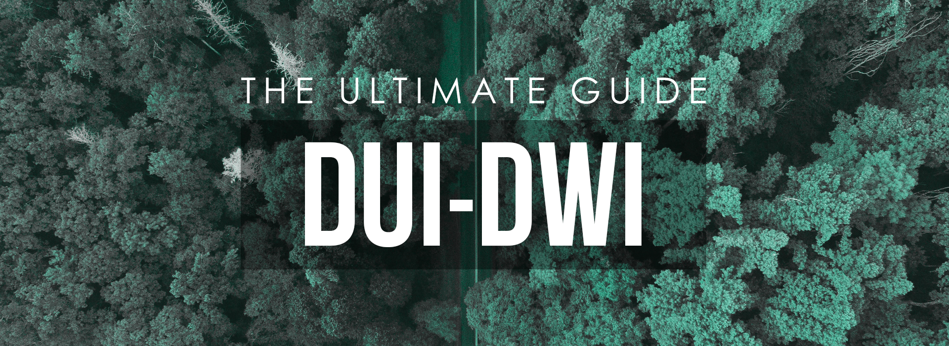 DUI DWI Guide Header