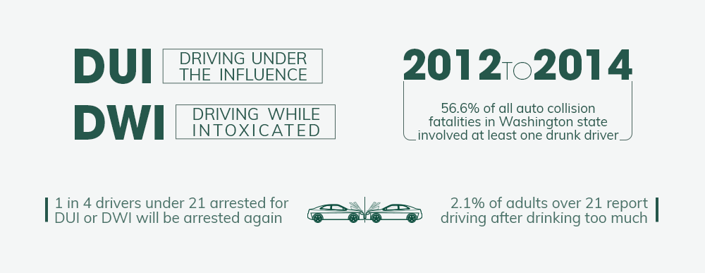 DUI DWI Stats