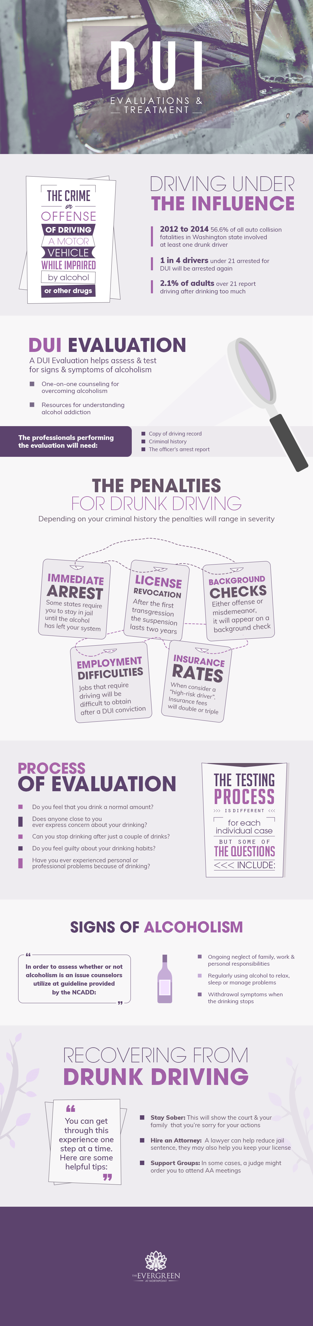 DUI Evaluations and Treatment Infographic