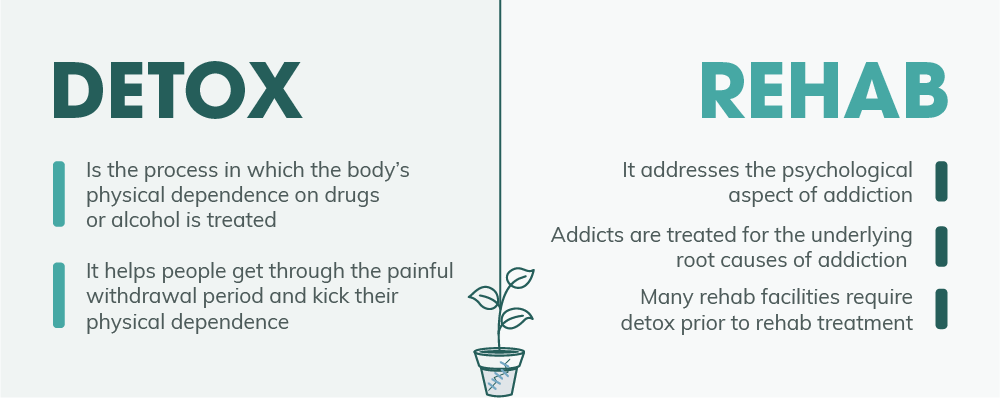 Medina, WA Alcohol Detox and the Importance of This First Step in Your Healing