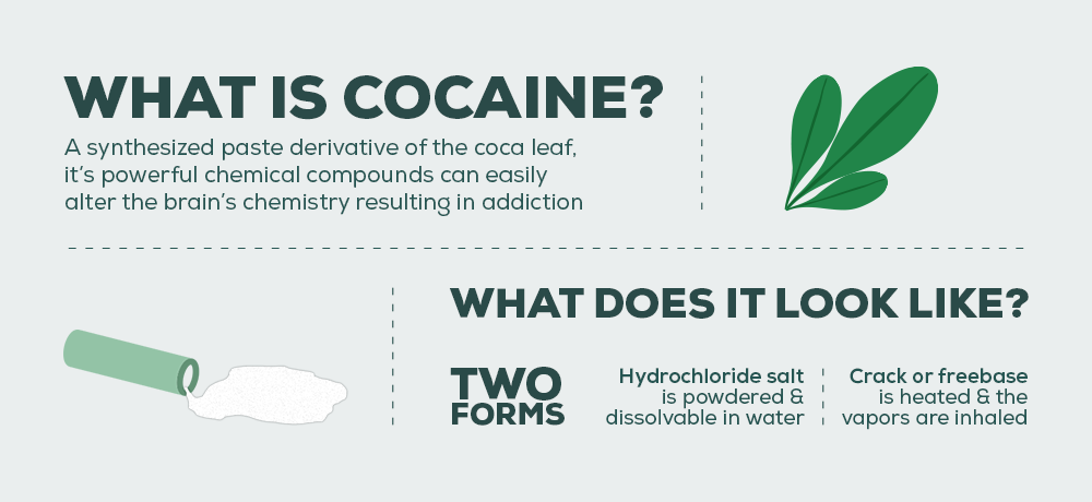 What is Cocaine?