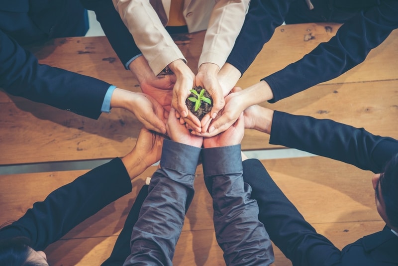 hands in the middle with growing plant